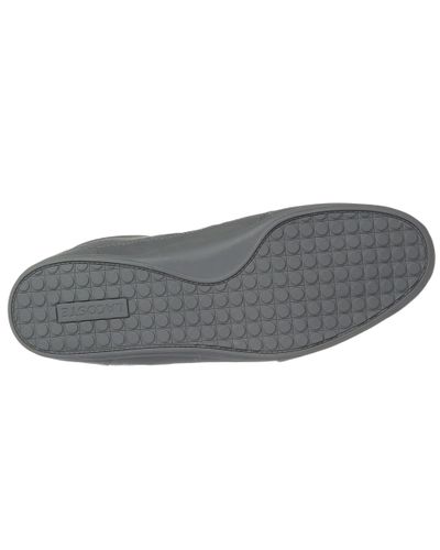 lacoste chaymon dark grey