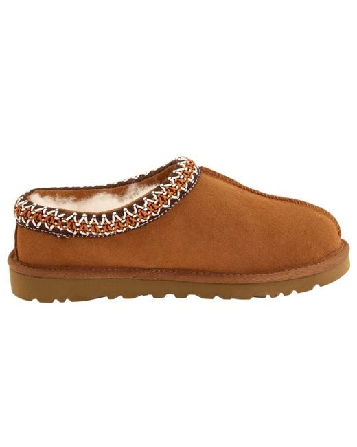 brown tasman uggs brown tasman uggs
