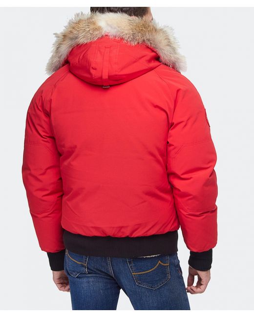 canada goose mountaineer jacket amazon canada goose mountaineer jacket amazon