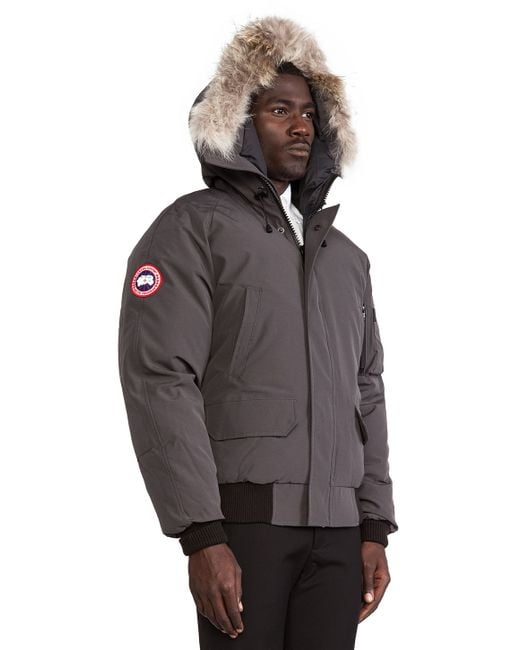 canada goose graphite chilliwack canada goose graphite chilliwack