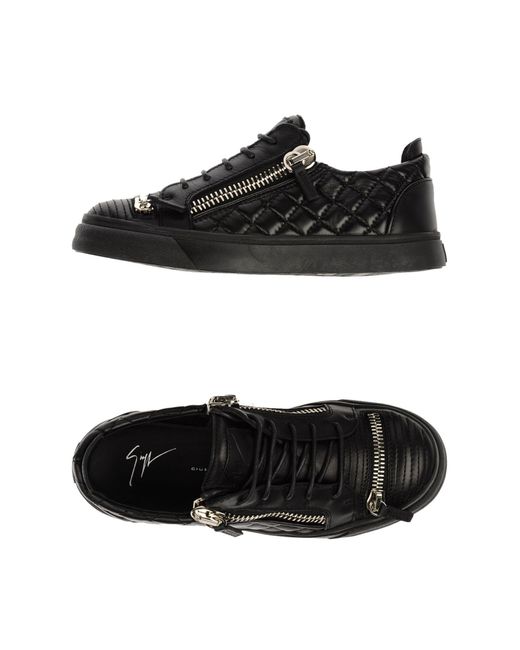 giuseppe zanotti low top