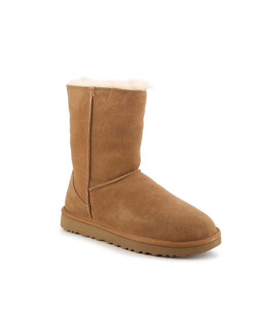 ugg classic short zip ugg classic short zip