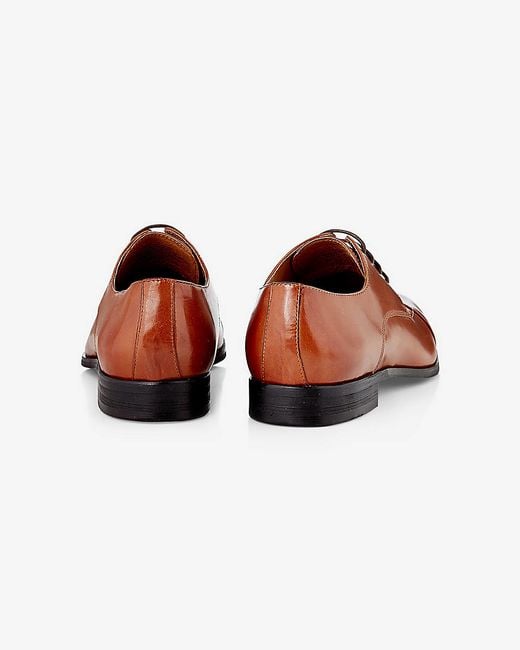  Express  Brown Leather Oxford Dress  Shoe  in Brown for Men 