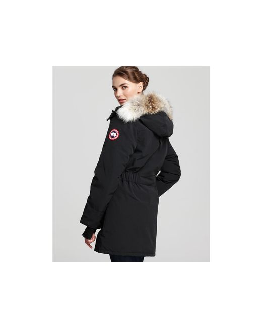 canada goose trillium bloomingdales