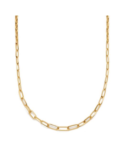 Lyst - Lizzie Mandler Graduated Knife Edge Oval Link Chain Necklace in ...