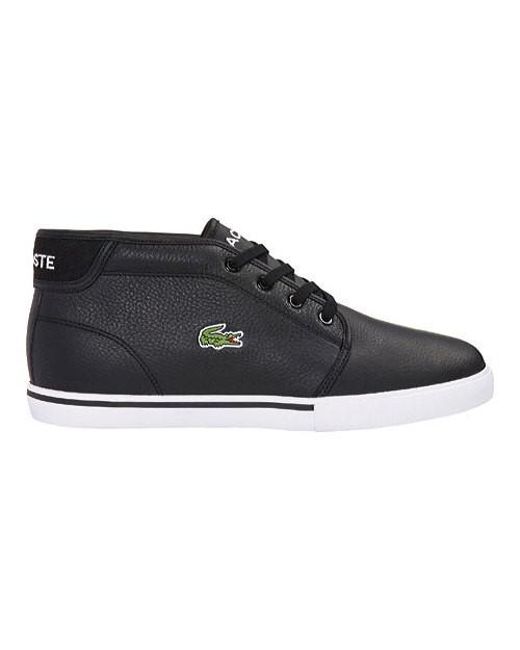 lacoste black ampthill