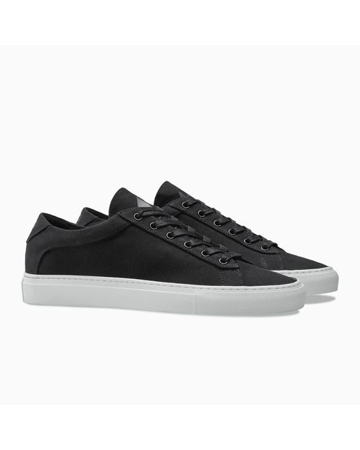 koio canvas