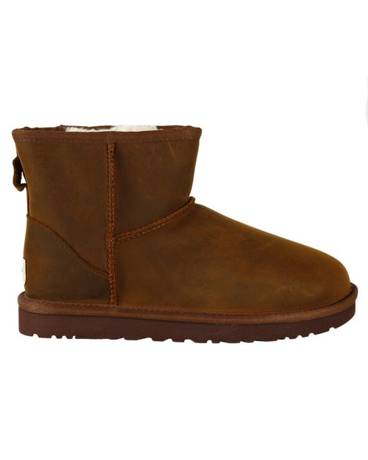 chocolate coloured uggs chocolate coloured uggs