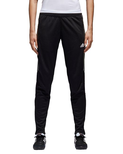 tiro training pants