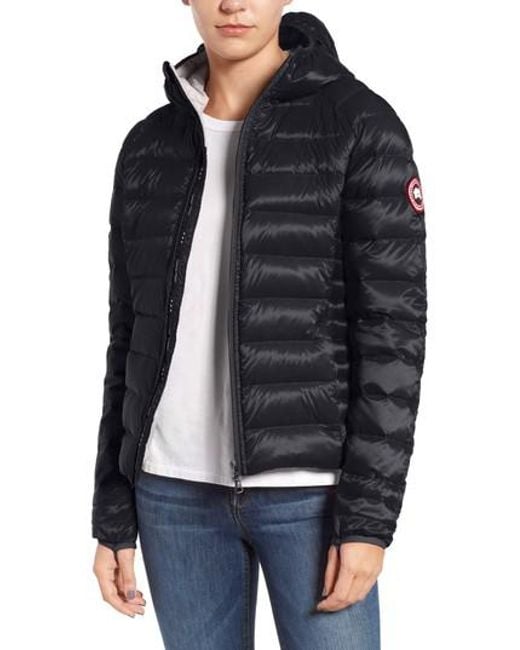 brookvale padded hooded jacket