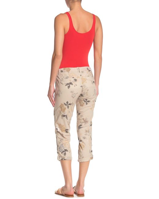democracy ab solution capris