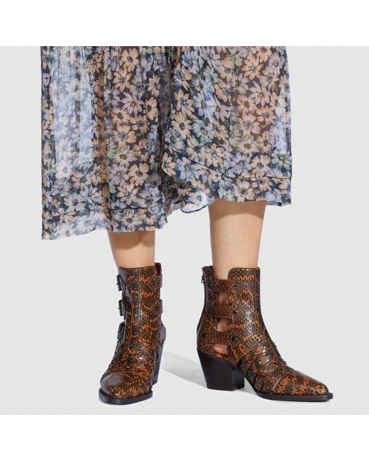 coach phoebe booties
