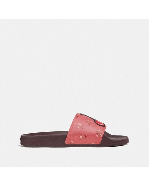 COACH Canvas Udele Sport Slide With Floral Bow Print in Pink Lyst