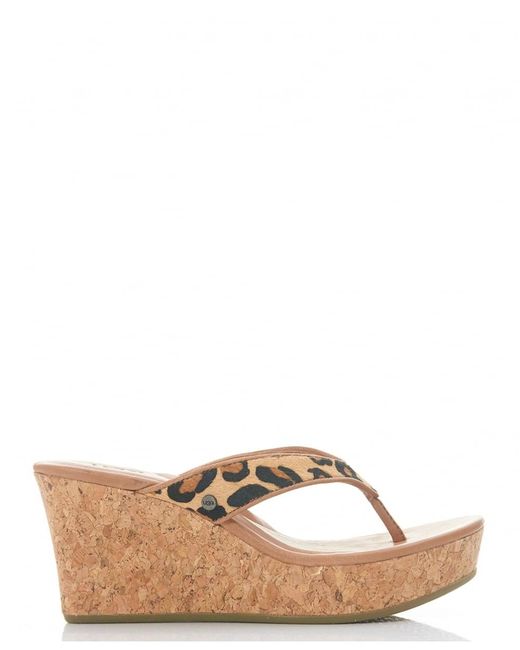 ugg natassia leopard ugg natassia leopard