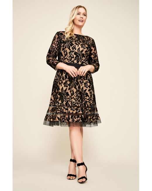Plus Size Lace Dresses