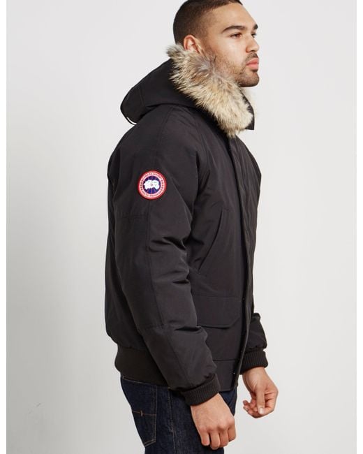 canada goose chilliwack bomber mens canada goose chilliwack bomber mens