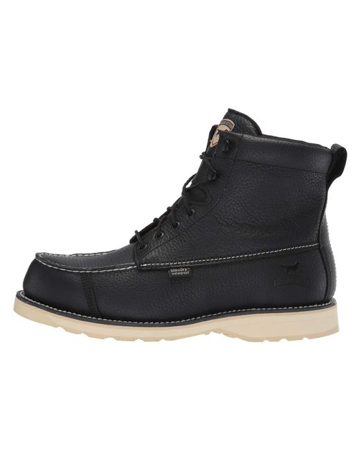 irish setter wingshooter black