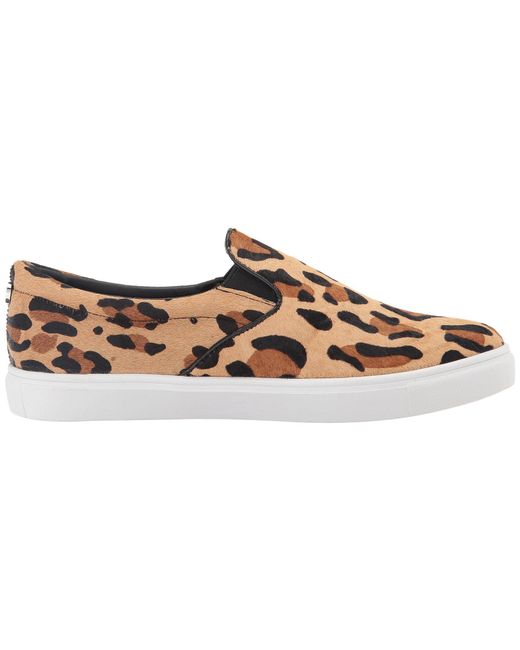 steve madden leopard sneakers nordstrom