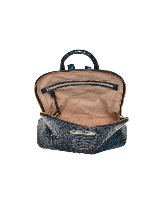 brahmin backpack black