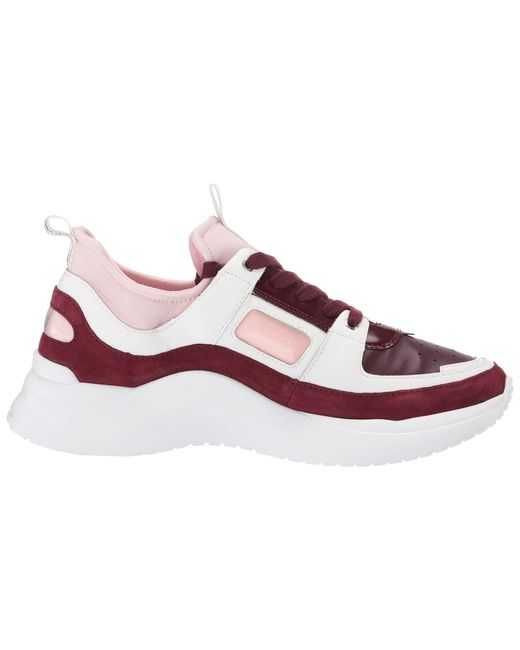calvin klein sneakers pink