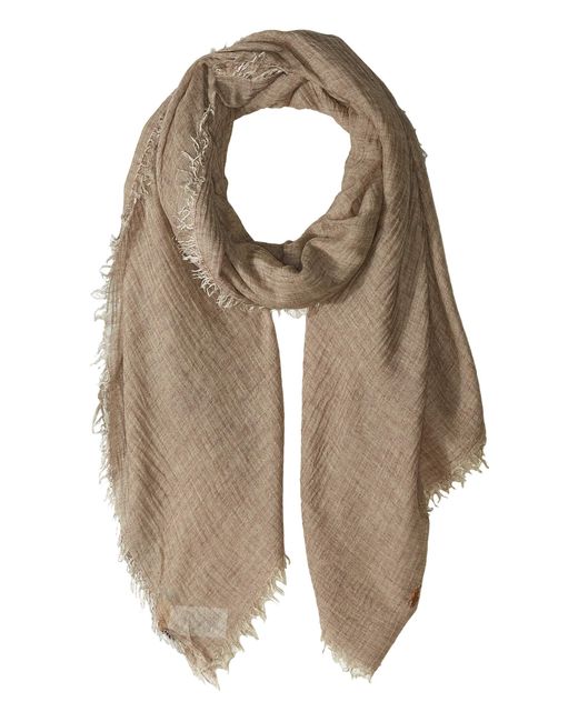 Polo Ralph Lauren Seasonless Signature Solid (black) Scarves in Natural ...