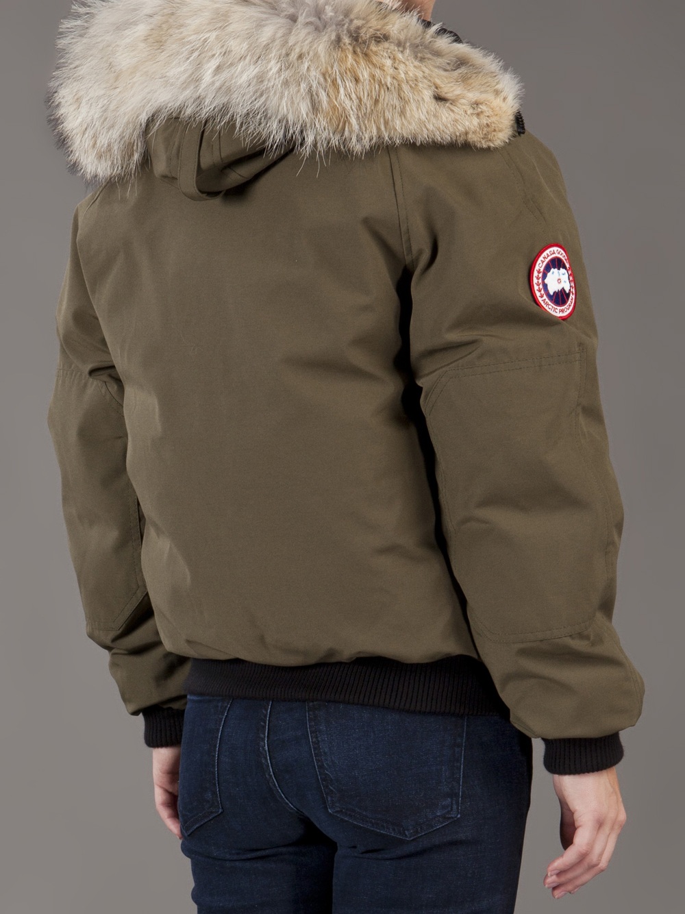 Canada Goose Chilliwack Bomber Jacket In Green