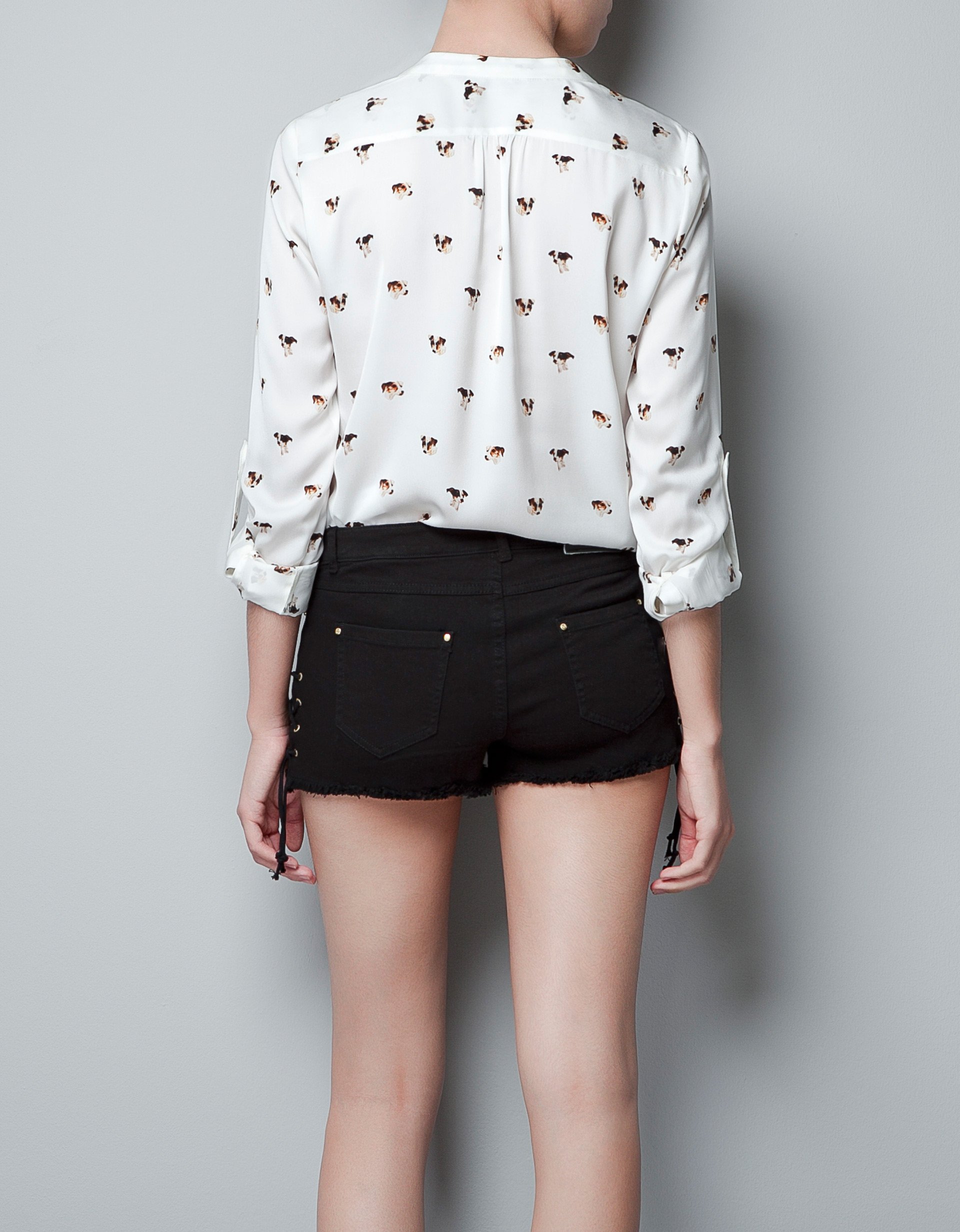 zara dog shirt