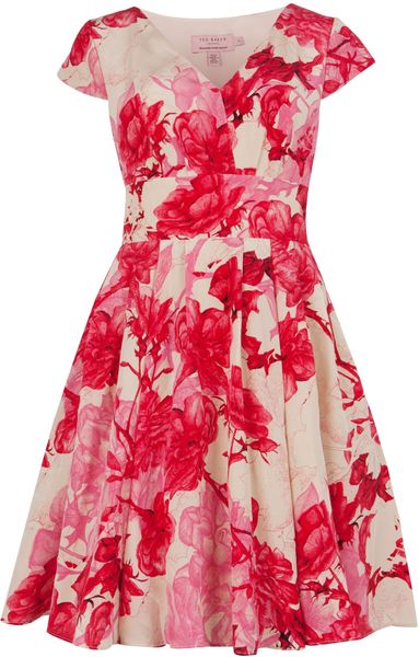 Ted Baker Cissi Floral Etchings Print Dress in Red (pink) | Lyst