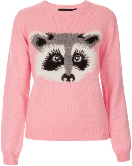 Topshop Raccoon Jumper By Emma Cook For Topshop in Pink (candy pink) | Lyst