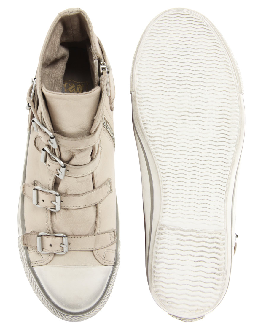 ash high top trainers womens