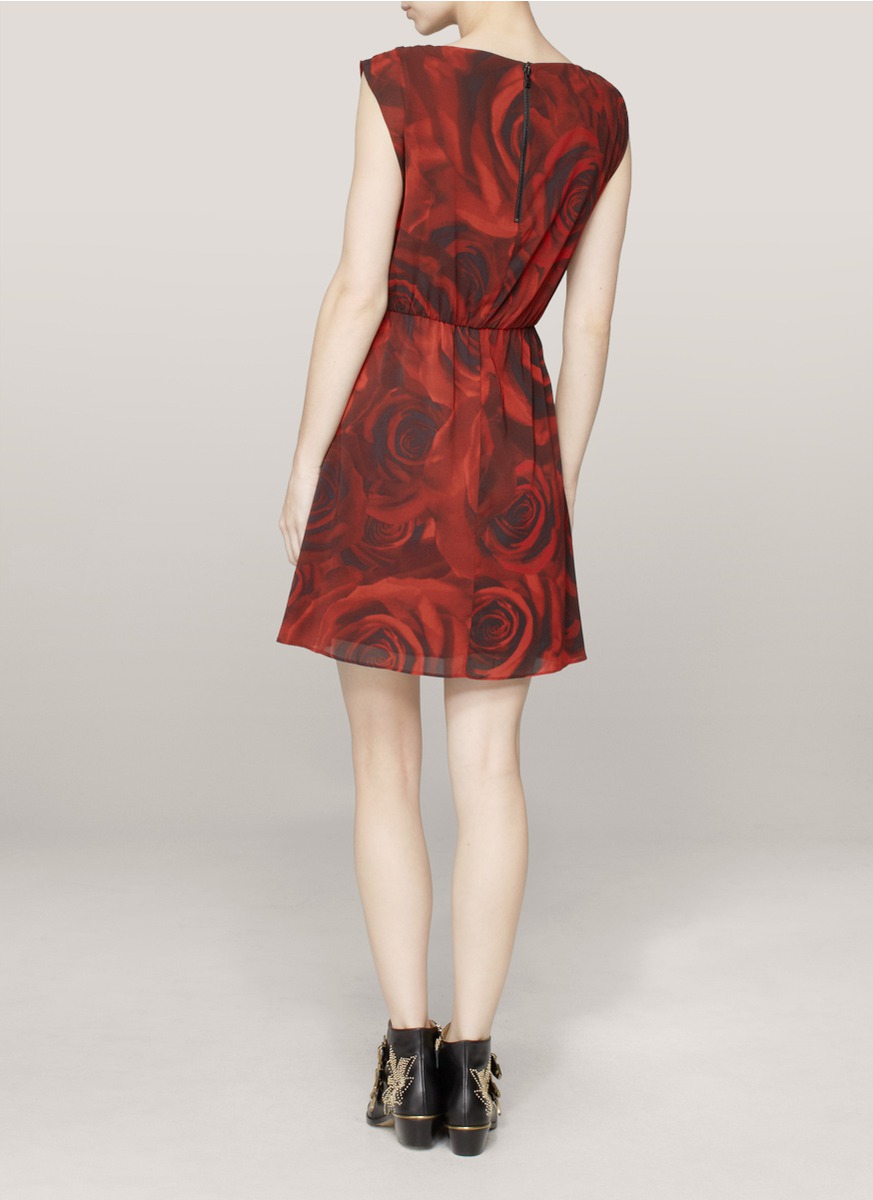 alice and olivia rose dress