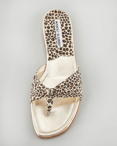 Manolo Blahnik Berna Leopardprint Slide Thong Sandal in Animal (LEOPARD ...
