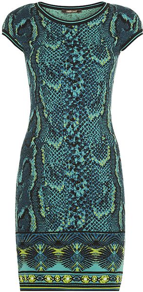 Roberto Cavalli Snakeskin Print Knitted Dress in Green | Lyst