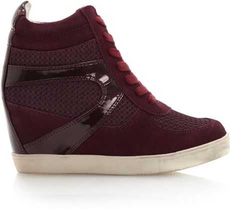 Steve Madden Olympiaxlace Up Trainer Shoes in Purple (Burgundy) | Lyst