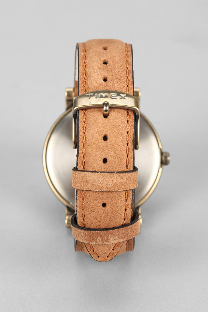 timex original gold classic watch