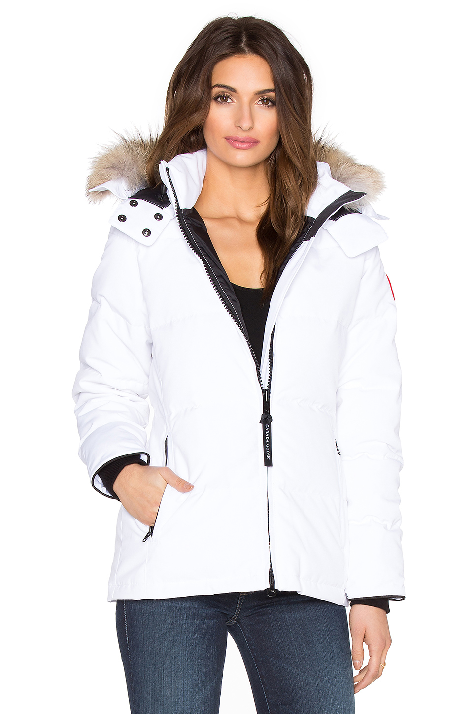 canada goose gilt canada goose gilt