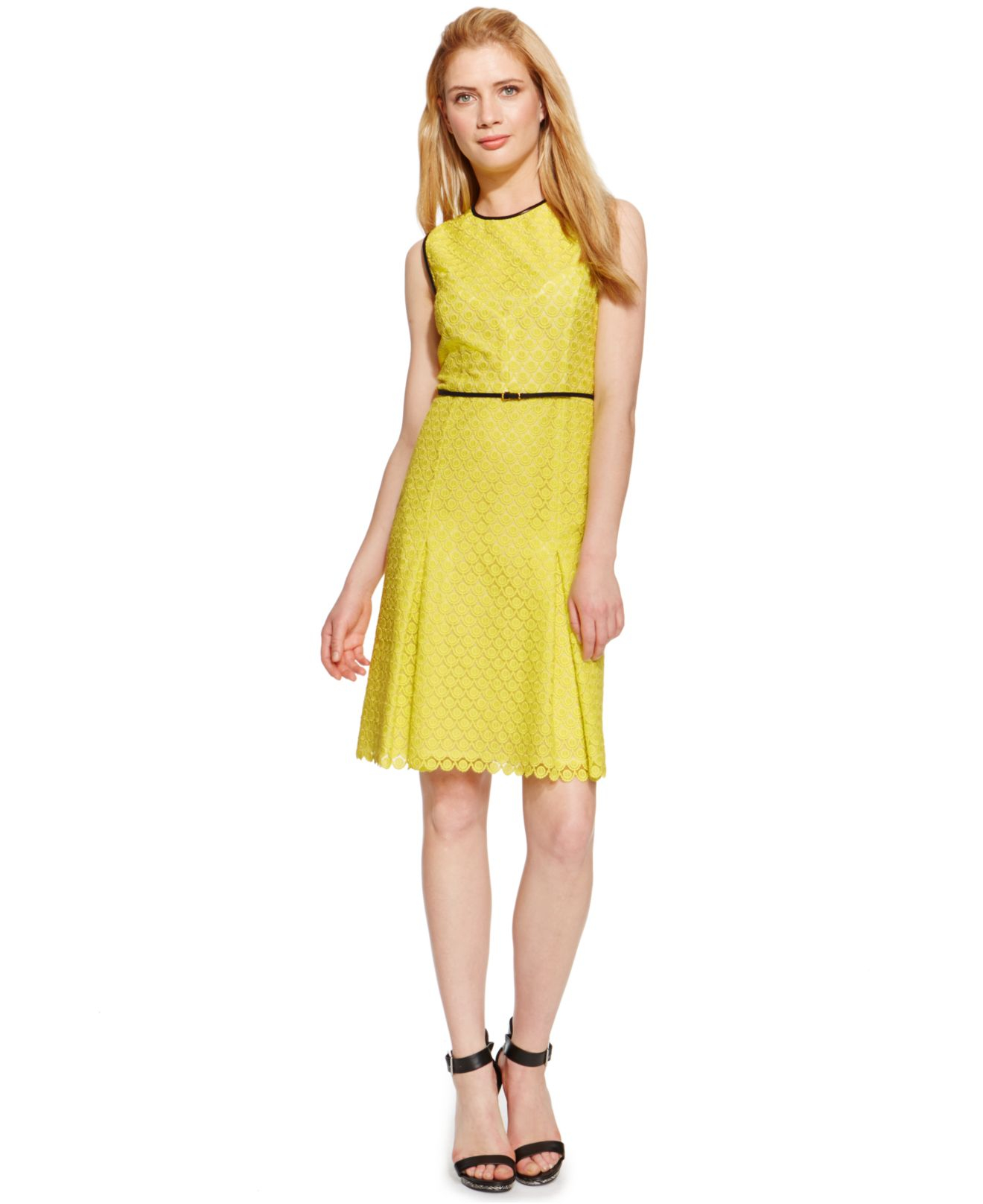 calvin klein petite dresses