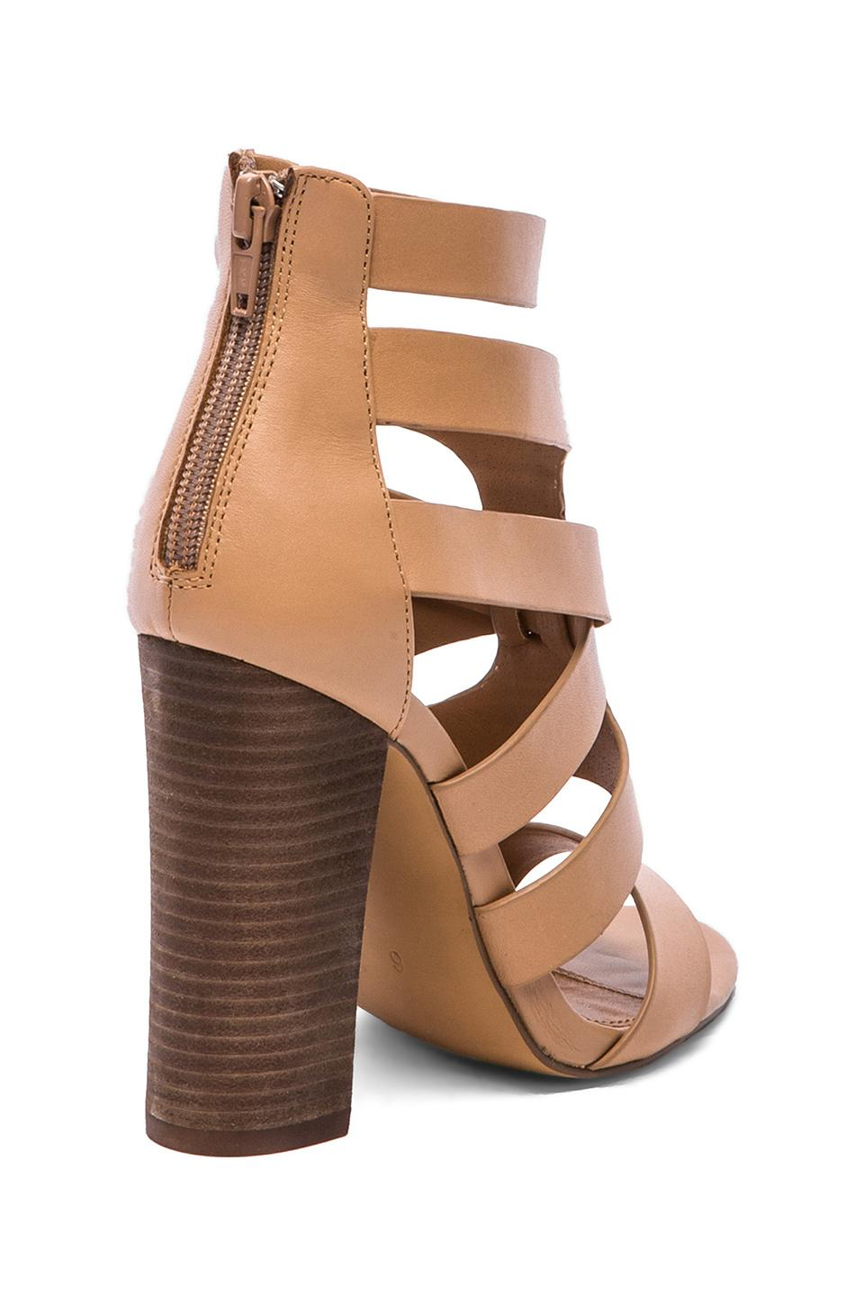 madden heel