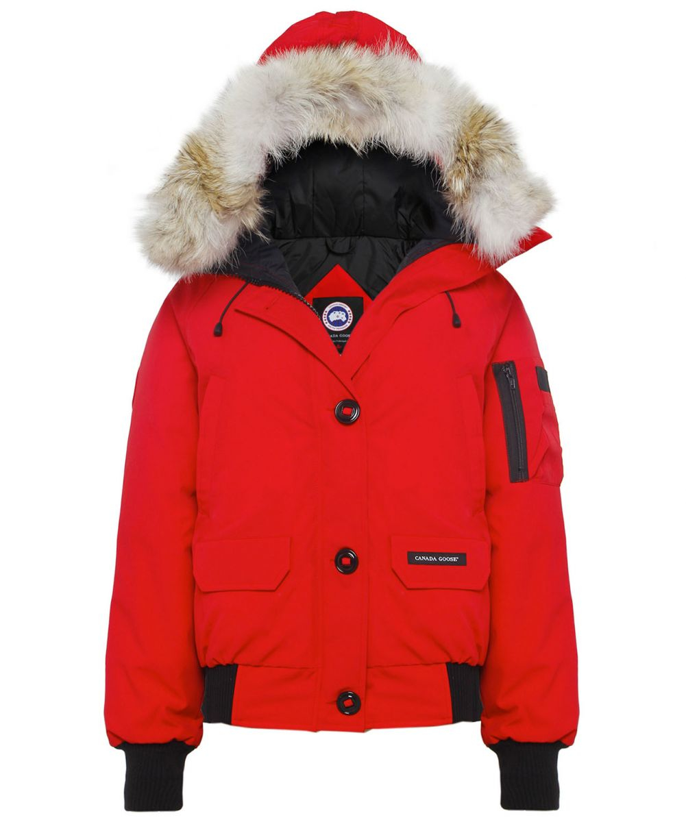 canada goose red chilliwack bomber canada goose red chilliwack bomber