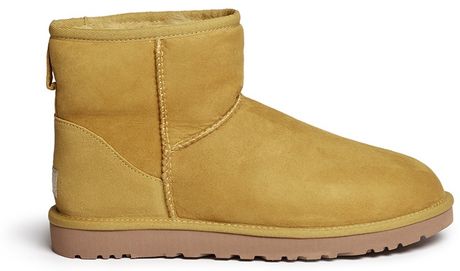 yellow uggs mens