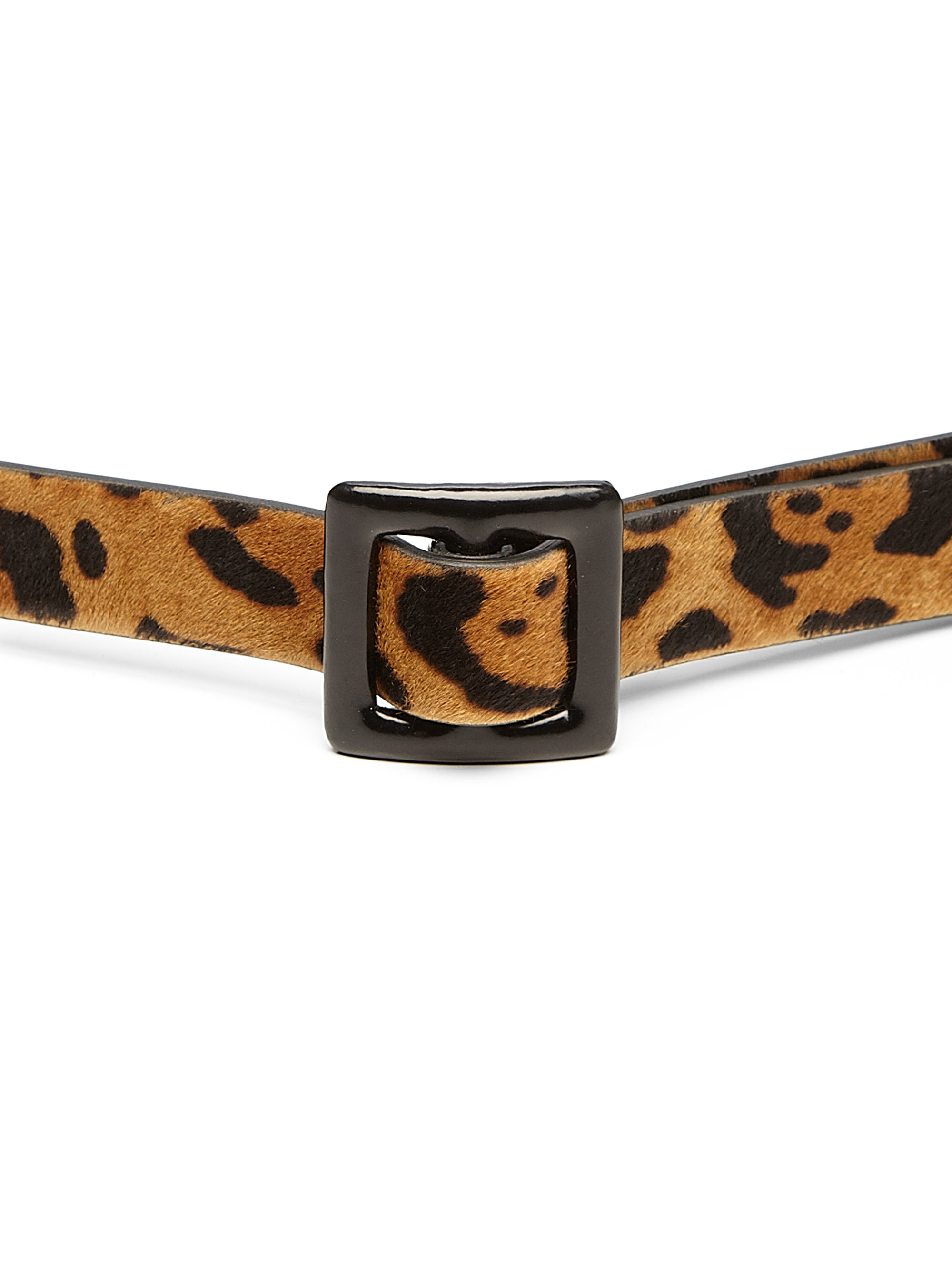 Lyst - Ralph Lauren Collection Black Label Leopard-print Calf Hair Belt