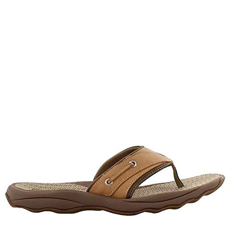 sperry x outerbanks