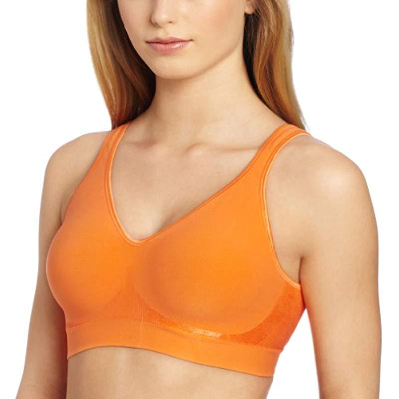 hestia wirefree bras