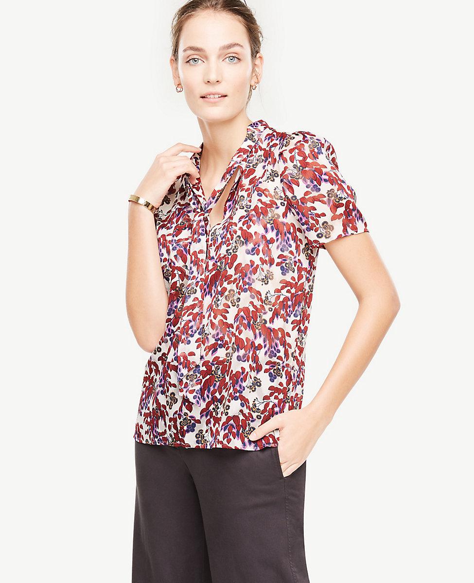 New Trendy 2019 Spring Womens Tops and Blouses Fashion