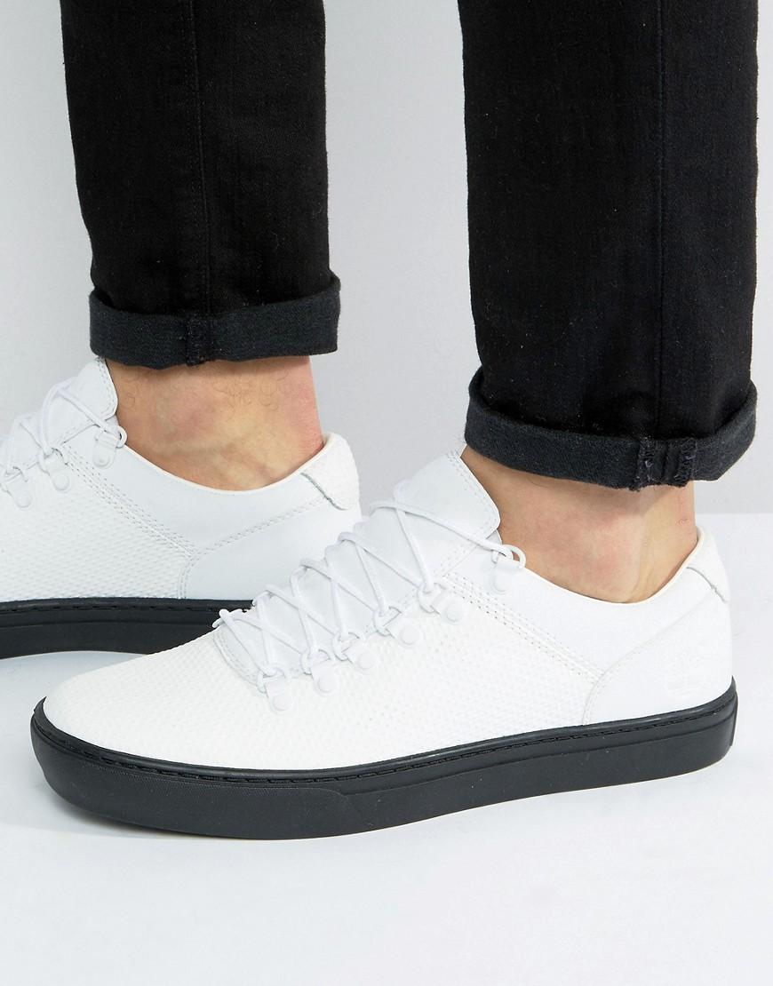 Lyst - Timberland Adventure Cupsole Alpine Sneakers in White for Men