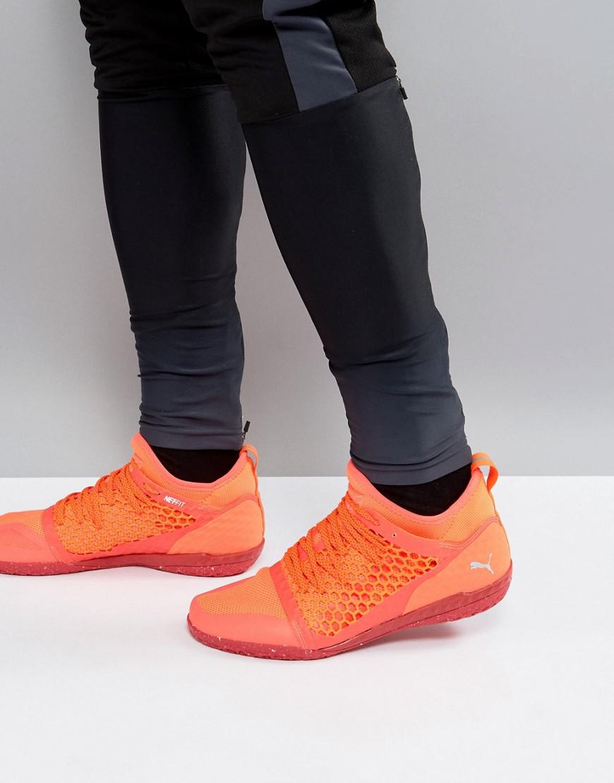 puma 365 netfit puma 365 netfit