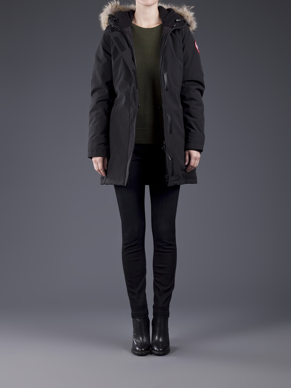 black victoria canada goose black victoria canada goose