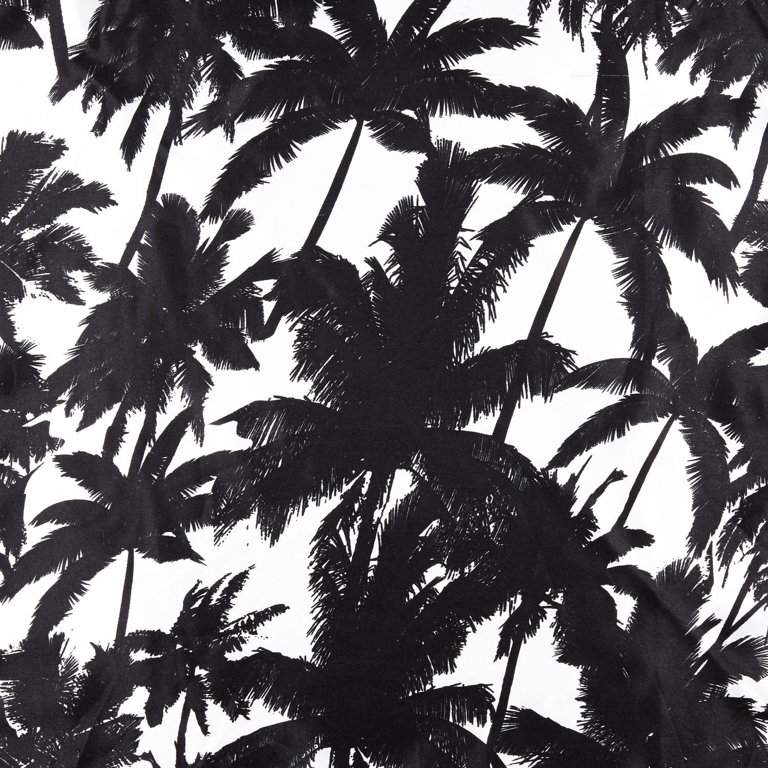 Black And White Palm Tree Print.
