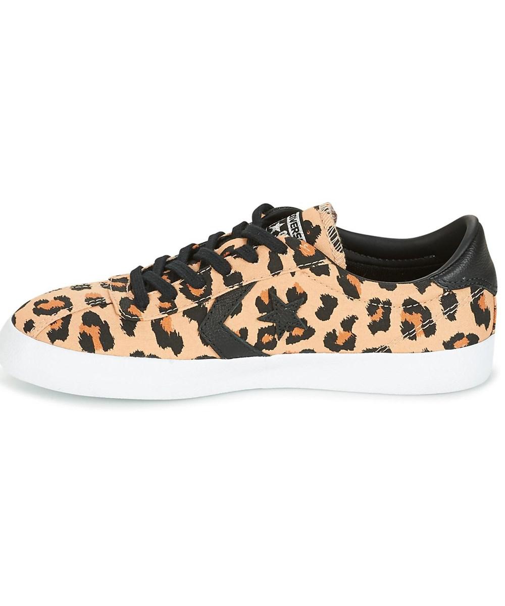 converse breakpoint animal converse breakpoint animal