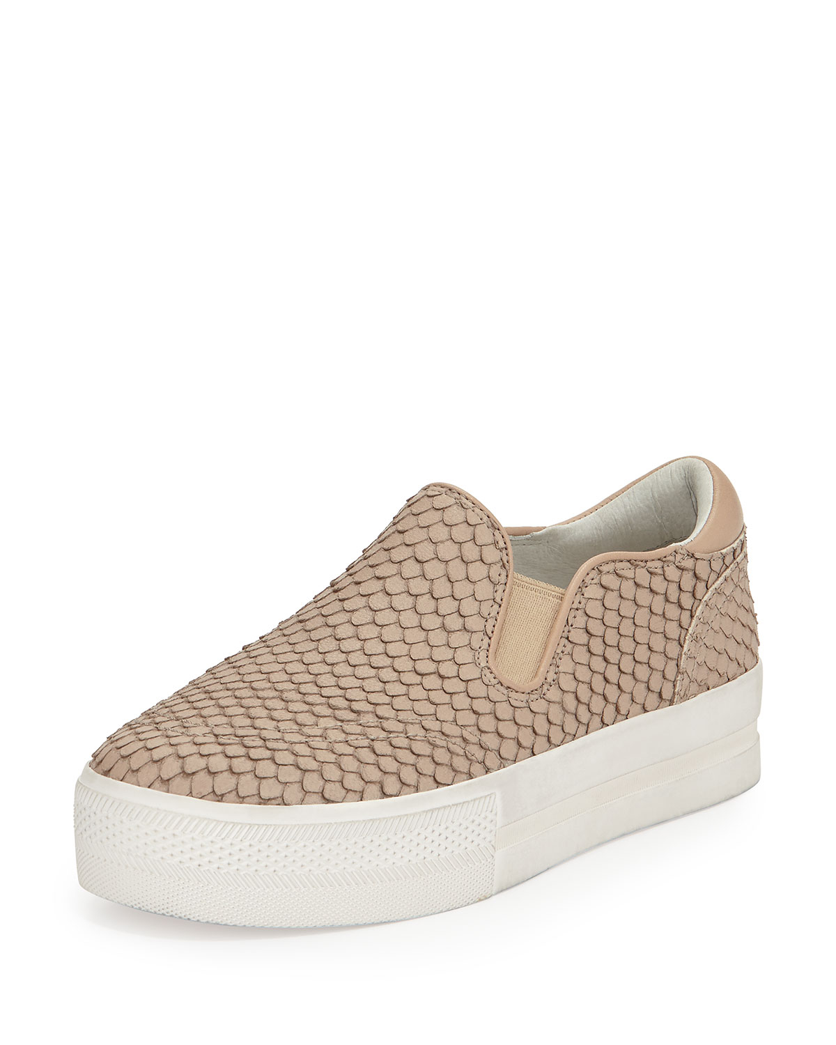 snake print slip on sneakers ash jungle snake print slip on sneaker lyst snake print slip on sneakers ash jungle snake print slip on sneaker lyst